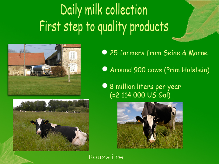 daily milk collection